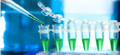 体外诊断试剂注册.jpg 体外诊断试剂注册.jpg